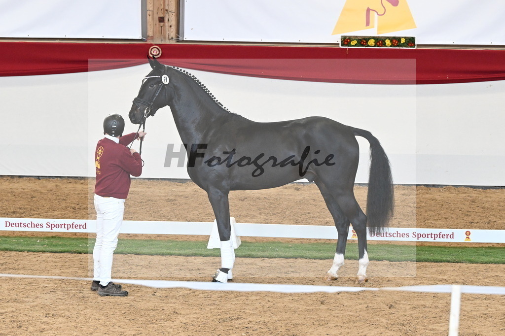 Kat.-Nr. 71 v. Jameson RS2_Greim_2250590 | hf-fotografie - Realisiert mit Pictrs.com