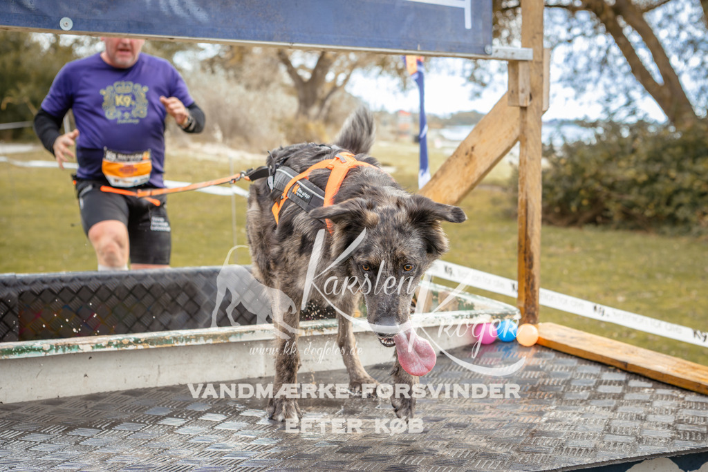 1343_ZZ91914-2 | kk-dogfotos