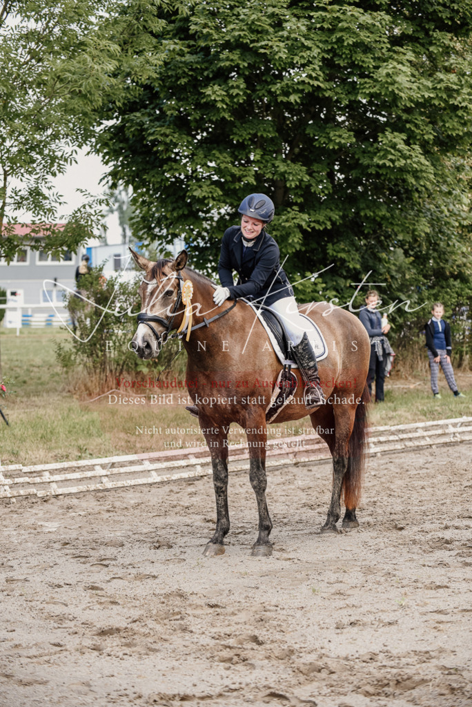 DSC_9343 | Pferde- und Turnierfotografie in Westsachsen. Pferdeportraits, Auftragszeichnungen und intuitive Kunst.