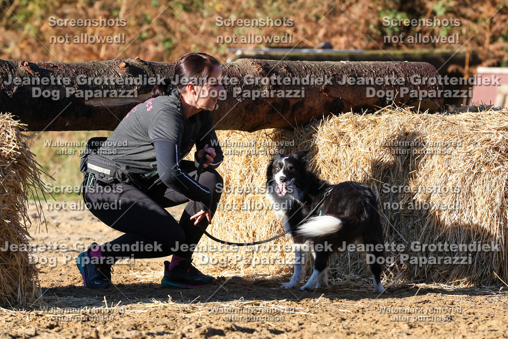 Dog Paparazzi - Strongdog 10-25-1414 | Dog Paparazzi Jeanette Grottendiek Fotografie & Videografie - Realisiert mit Pictrs.com