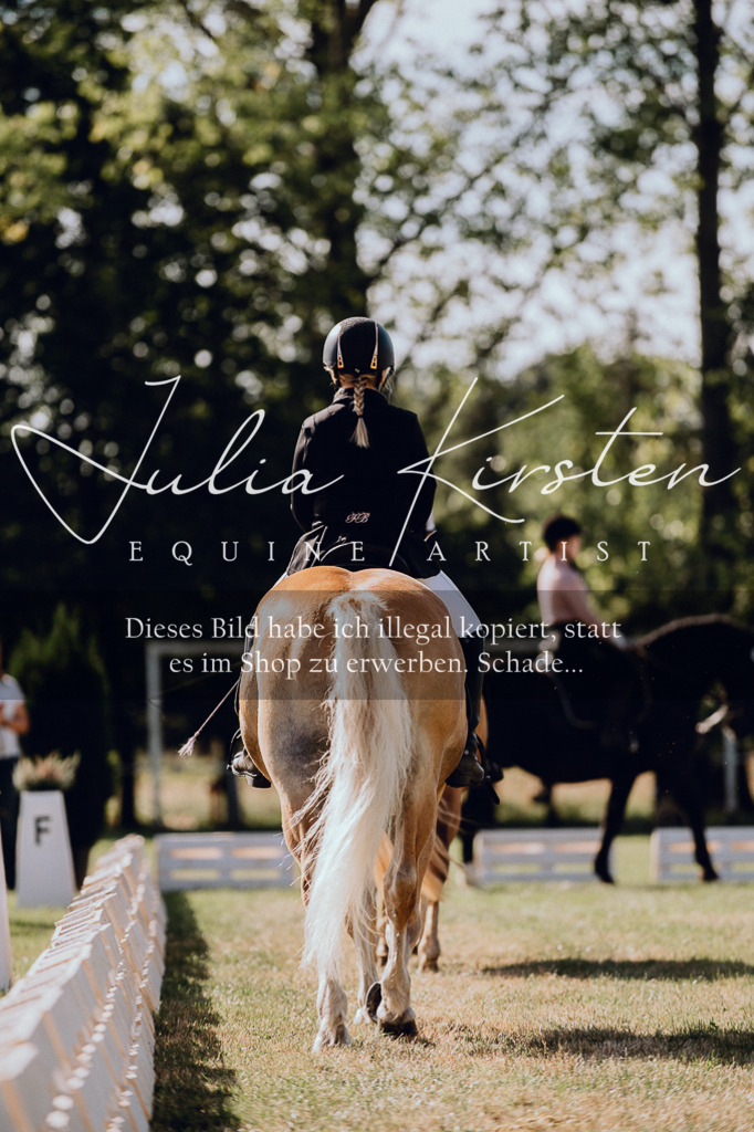 DSC_7032 | Pferde- und Turnierfotografie in Westsachsen. Pferdeportraits, Auftragszeichnungen und intuitive Kunst.