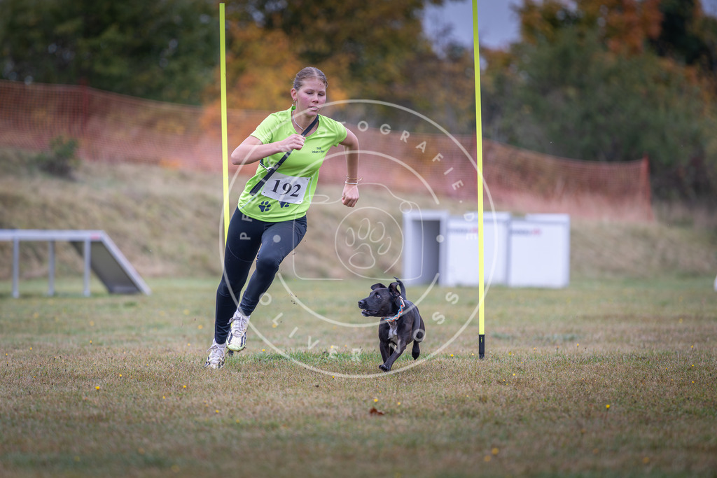 Pfotenfotografie_DV3A0879 | Hundefotografie, Tierfotograf, Pfotenfotografie, Fotoshooting Hund, Hunde Portrait, Hundesport, Hundeportraits, Heideshooting, Hunde, Sportfotograf, Hundefotograf, Turnierhundsport, THS,  - Realisiert mit Pictrs.com