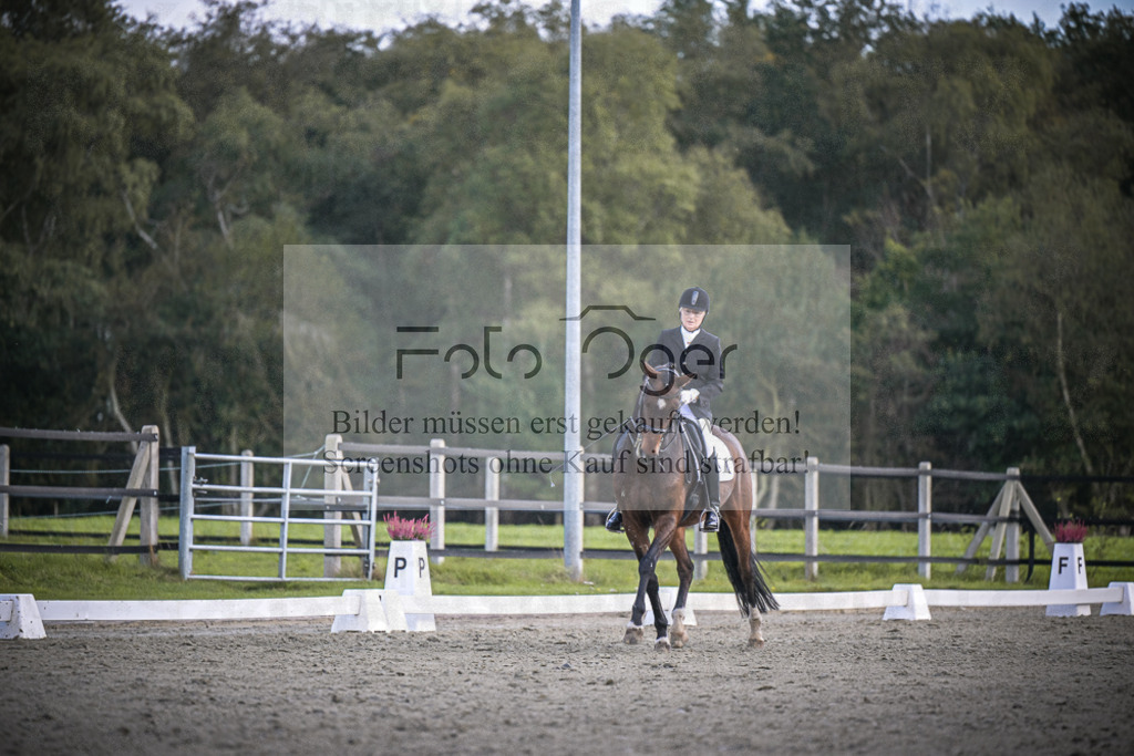 DOS_0528 | Entdecke hochwertige Reitturnierfotos von Foto Oger. Professionell, emotional und authentisch – jetzt Lieblingsmomente im Shop bestellen.Deutschlandweite Turnierfotografie. - Realisiert mit Pictrs.com