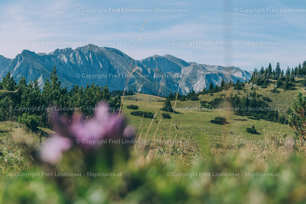 Zeller Staritzen Zinken (1619 m)-4850 | Fotos und Fotoprodukte - Realisiert mit Pictrs.com