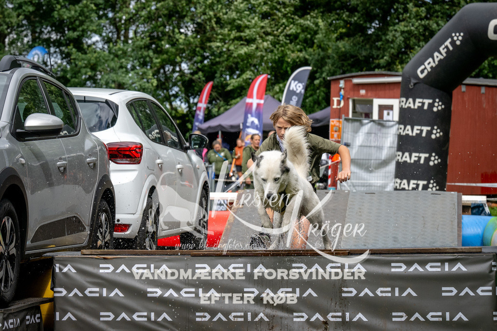 1430_ZZ91174 | kk-dogfotos