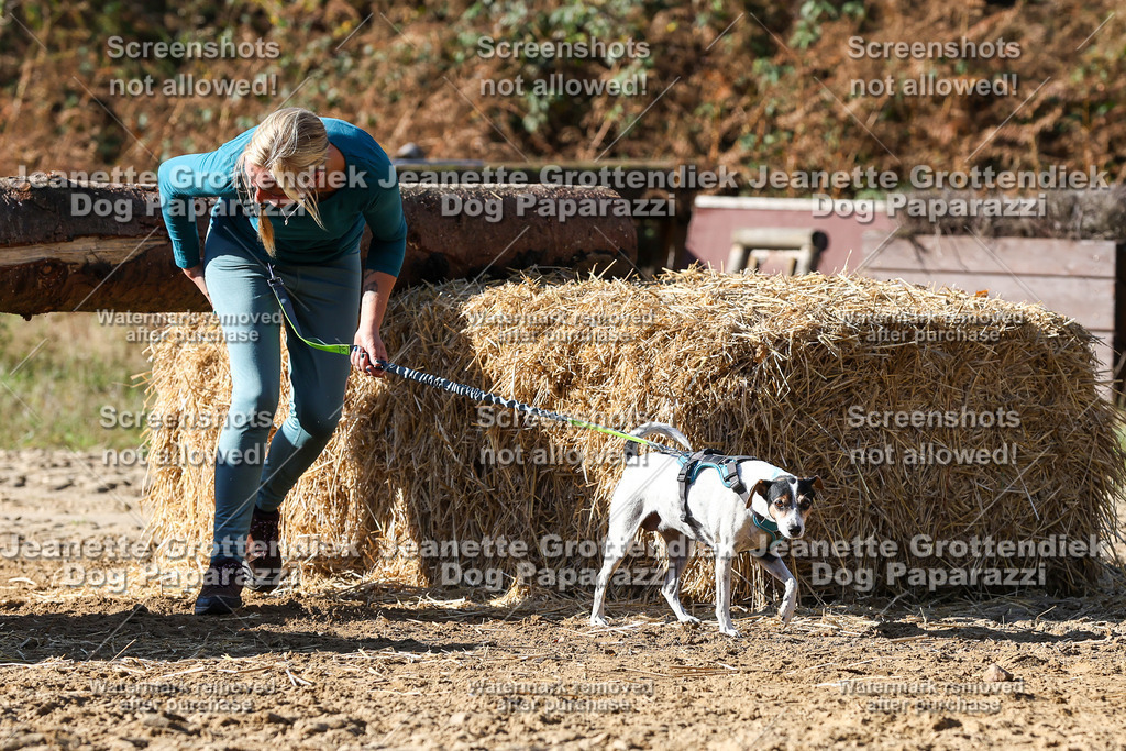 Dog Paparazzi - Strongdog 10-25-4682 | Dog Paparazzi Jeanette Grottendiek Fotografie & Videografie - Realisiert mit Pictrs.com