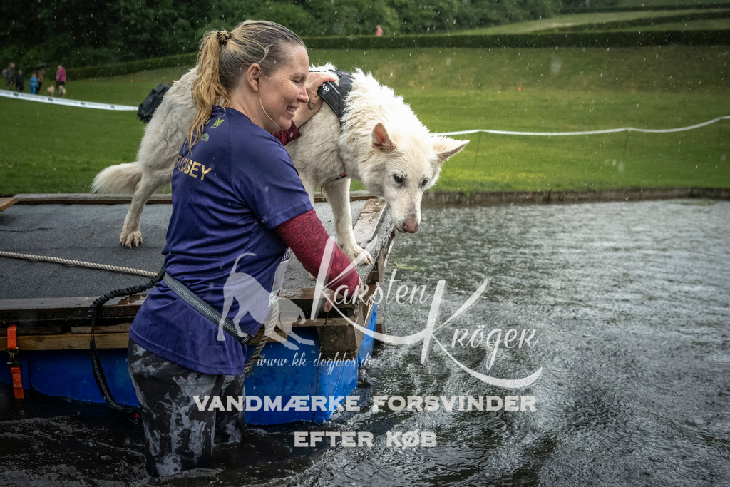1322_ZZ97906 | kk-dogfotos