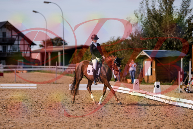 2026_10_03_Siefer-Hof_133155_Z81_87380879 | Professionelle Reitsport-, Turnier- und Eventfotografie von Robert Broda. Galerien mit ausgewählten und bearbeiteten Bildern direkt online ansehen und bestellen.