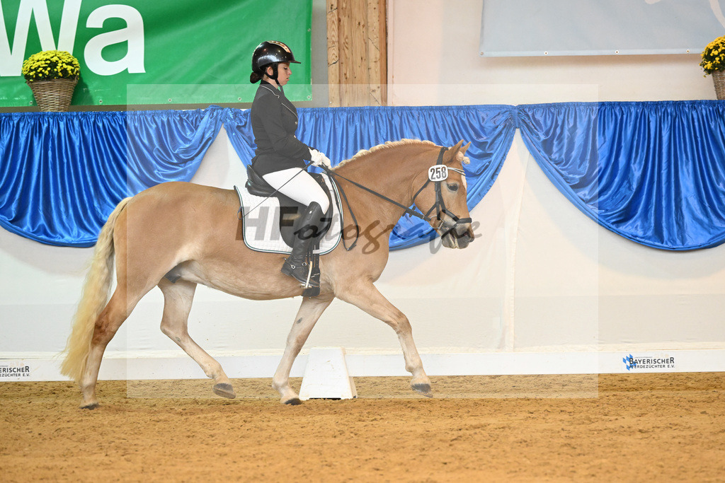 Kat-Nr. 258 Angel van de ARCA Hoeve_Redmann_54222004 | hf-fotografie - Realisiert mit Pictrs.com