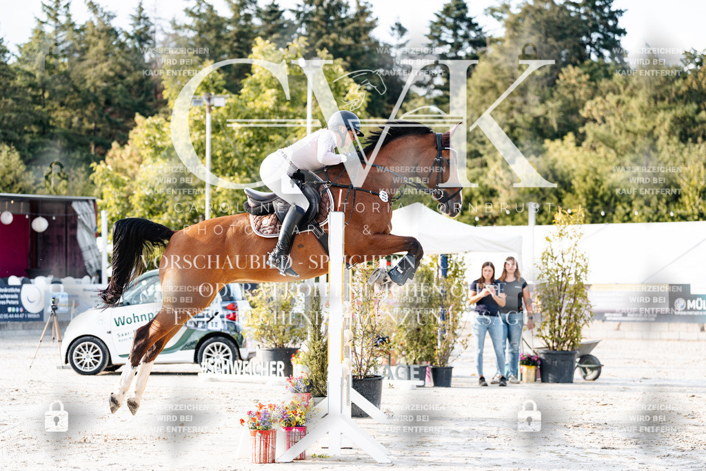 CK903316 | Turnierfotografie Pferdefotografie Trier Rheinland-Pfalz Pferdesport Reitsport Tierfotografie Sportfotografie Pferdevideo Pferdevideografie Equestrianvideography equestrianphotography  - Realisiert mit Pictrs.com