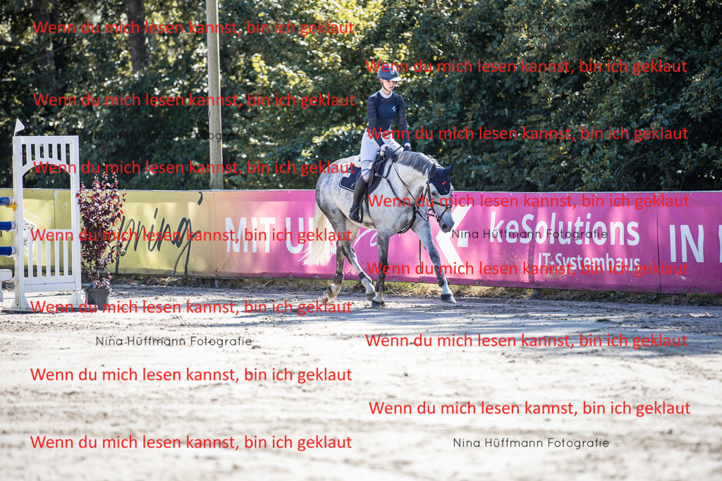 BK1A6815 | Turnierbilder Turnierfotos Nina Hüffmann Turnierfotografie Pferdefotografie Tierzeichnung Haustierzeichnung Pferdezeichnung Hundezeichnung Videograf  - Realisiert mit Pictrs.com