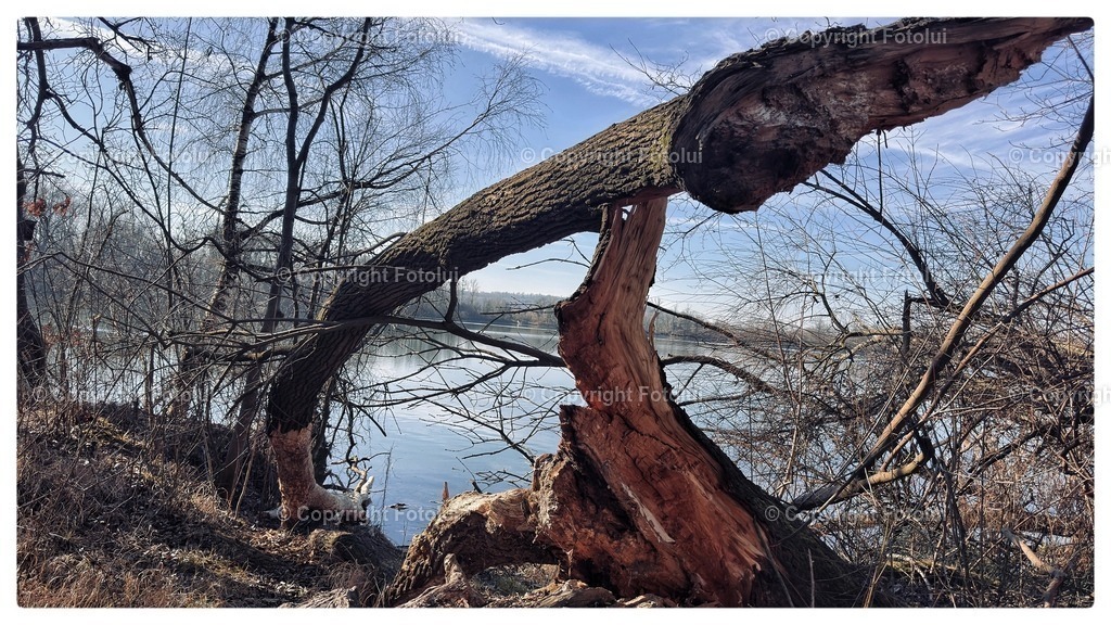 IMG_0244 | bilder, linz, photo, foto, fussball, sport, fotolui, bundesliga