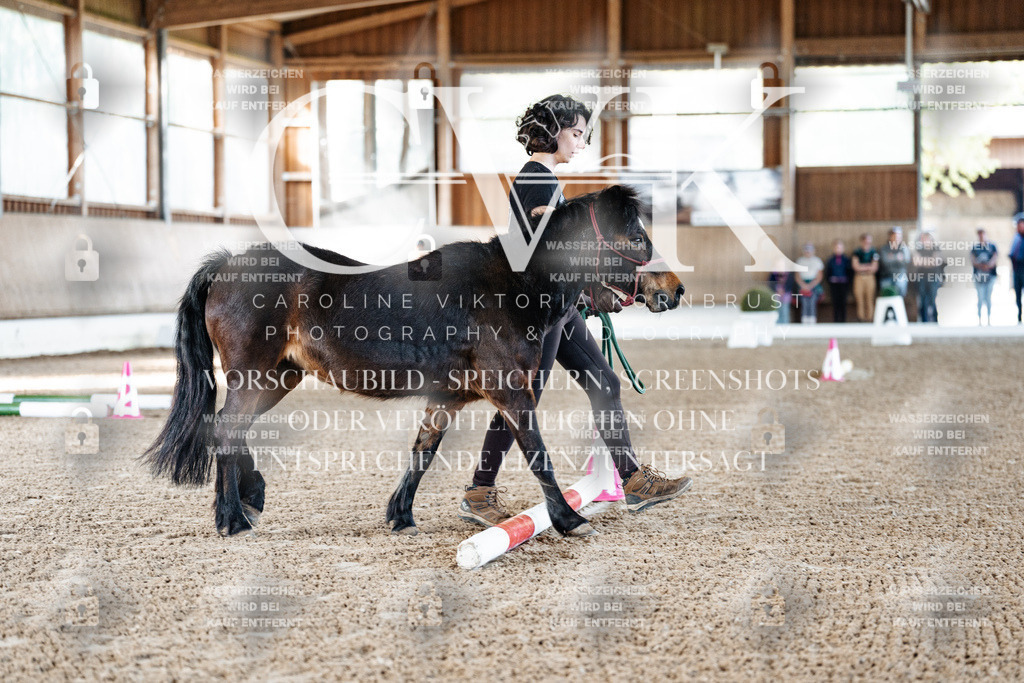 CK905166 | Turnierfotografie Pferdefotografie Trier Rheinland-Pfalz Pferdesport Reitsport Tierfotografie Sportfotografie Pferdevideo Pferdevideografie Equestrianvideography equestrianphotography  - Realisiert mit Pictrs.com