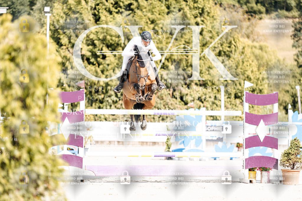 CK908728 | Turnierfotografie Pferdefotografie Trier Rheinland-Pfalz Pferdesport Reitsport Tierfotografie Sportfotografie Pferdevideo Pferdevideografie Equestrianvideography equestrianphotography  - Realisiert mit Pictrs.com