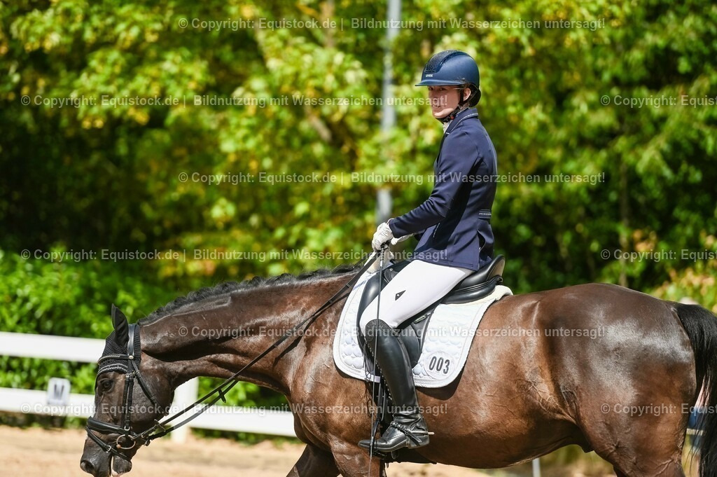 20230715_02_Dressurreiterprüfung Kl.L_0309 | equistock