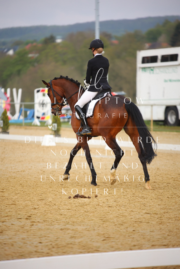 IMGT7902 | pl-fotografie