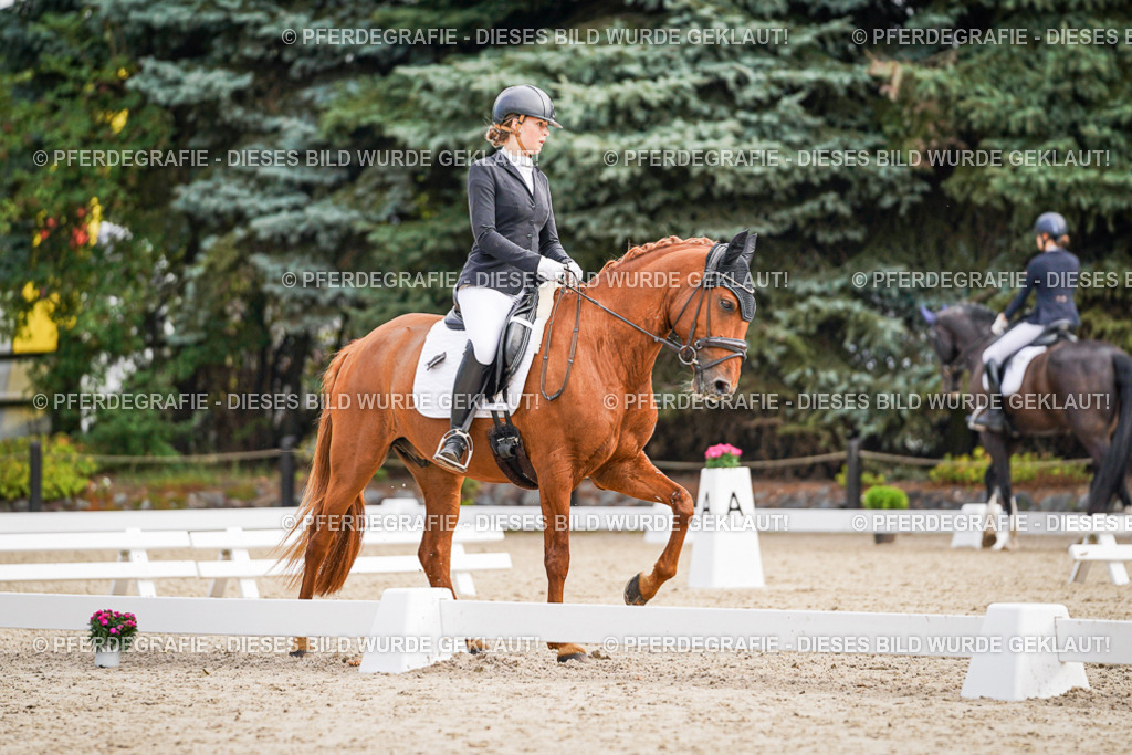 DSC01393 | Pferdegrafie