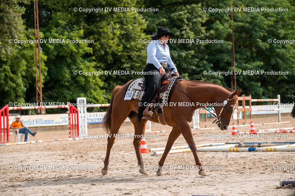 ZS3_9330 | dv-media-shop - Realisiert mit Pictrs.com