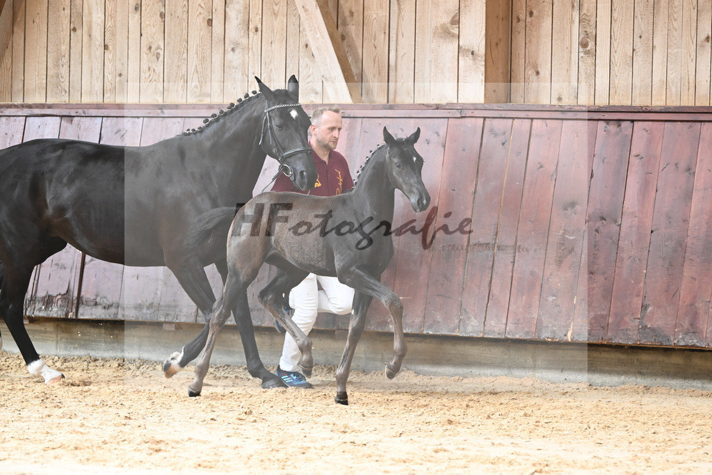 Kat-Nr. 26 SF Zenetti_Kirchmaier_26230326 | hf-fotografie - Realizzato con Pictrs.com