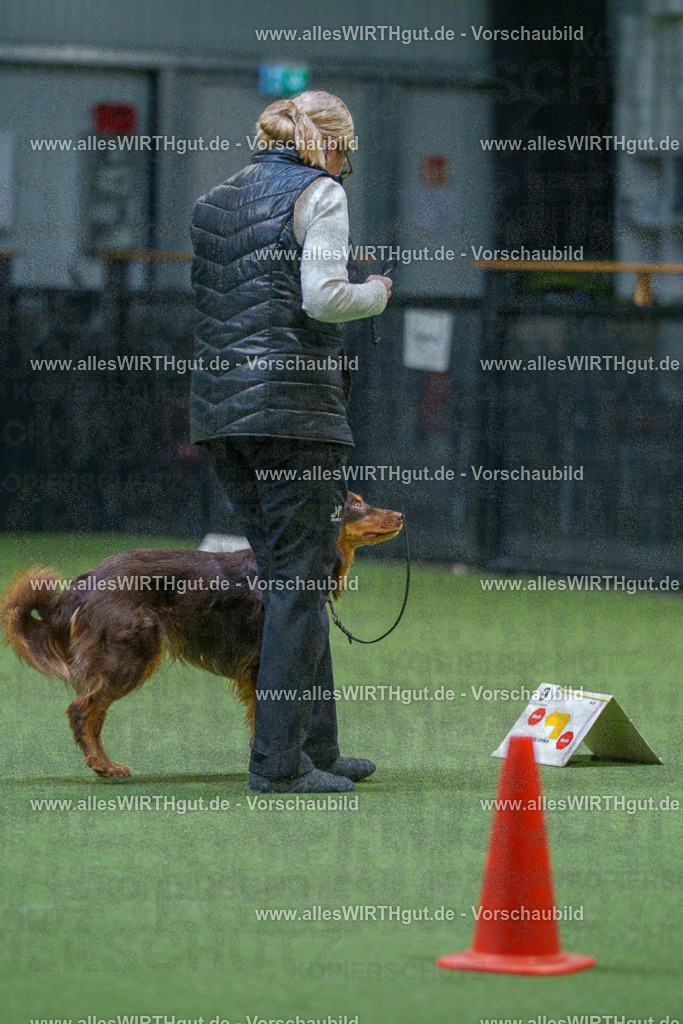 7R501347 | Professionelle Tierfotografie in Mönchengladbach von Daniel Wirth (allesWIRTHgut). Liebevolle & natürliche Bilder von Hunden & Katzen für unvergessliche Erinnerungen.