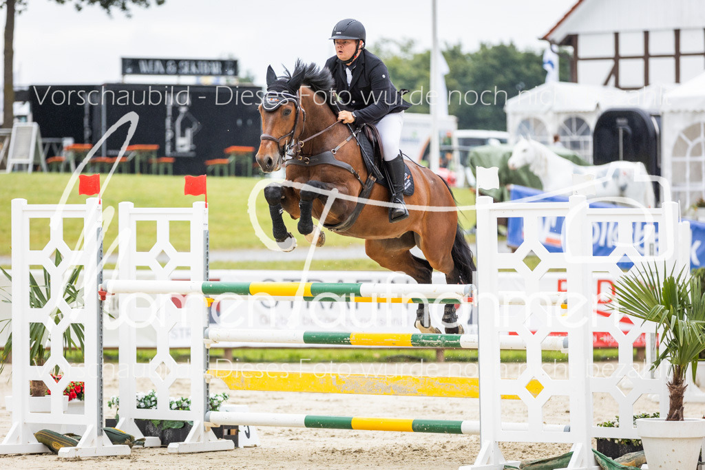 BHO-2PhSpr-M-160 | MomenTaufnahmen Pferdesportfotos