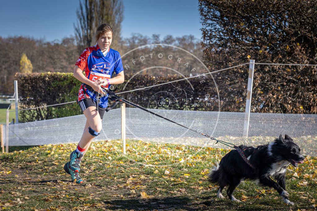 CaniXpix_DV3A8785 | Hundefotografie, Tierfotograf, Pfotenfotografie, Fotoshooting Hund, Hunde Portrait, Hundesport, Hundeportraits, Heideshooting, Hunde, Sportfotograf, Hundefotograf, Turnierhundsport, THS,  - Realisiert mit Pictrs.com