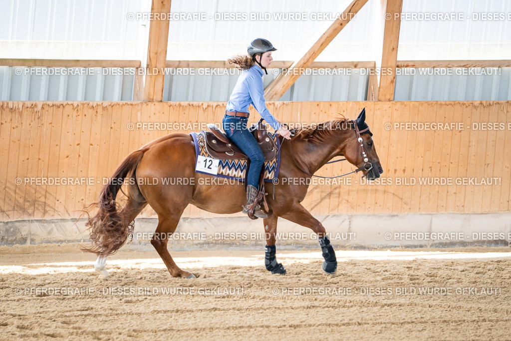 DSC03069 | Pferdegrafie