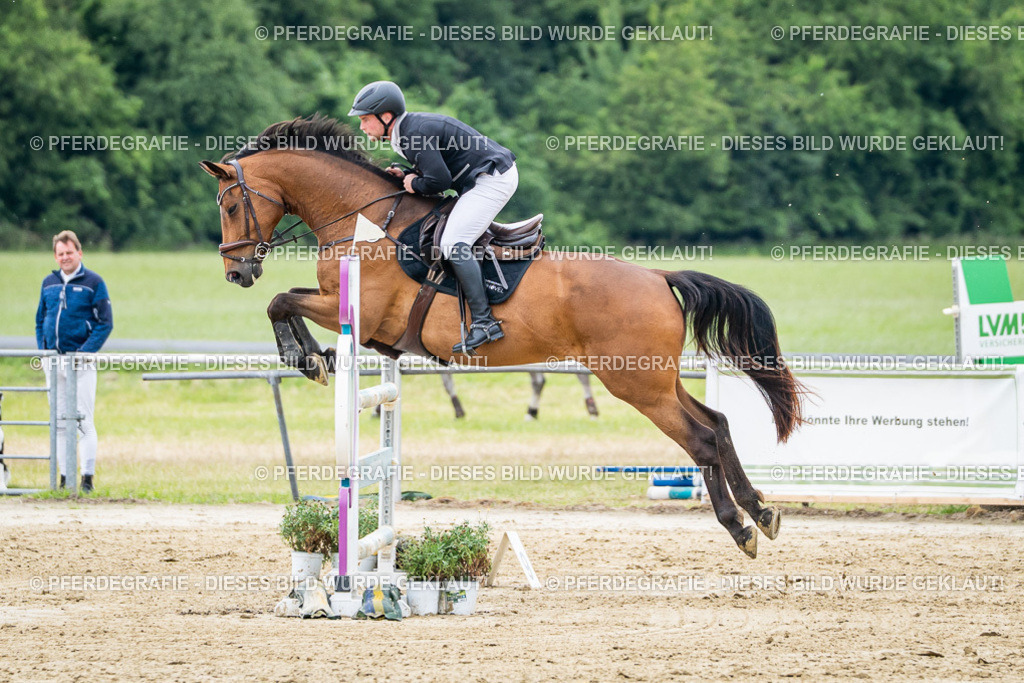 DSC05428 | Pferdegrafie