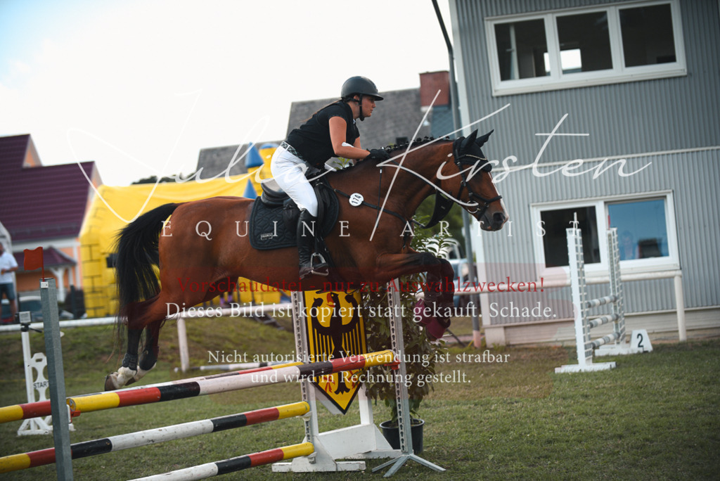 DSC_6693 | Pferde- und Turnierfotografie in Westsachsen. Pferdeportraits, Auftragszeichnungen und intuitive Kunst.