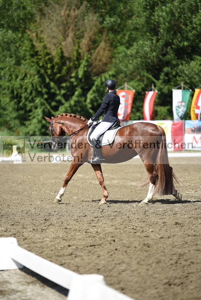 DSC_0010 | equestrian-live-com