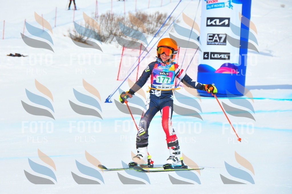 DSC_1616 | holidayphoto