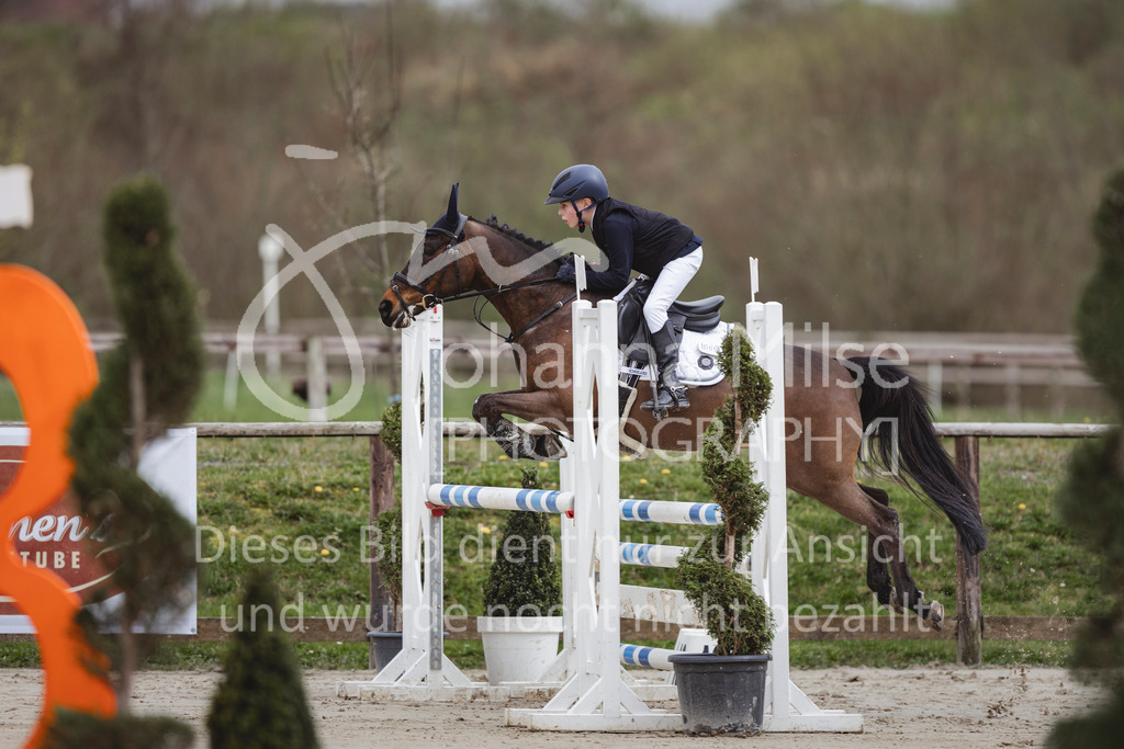 240330_Fruehlingsfest_Stil-A2-1-620 | Deine schönsten Turniermomente als professionelle Fotos! Entdecke hochwertige Pferdesport-Fotografie im Online-Shop. Jetzt Fotos finden & bestellen!