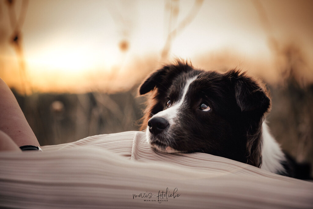 4M7A7306s | maris-fotoliebe - Realisiert mit Pictrs.com