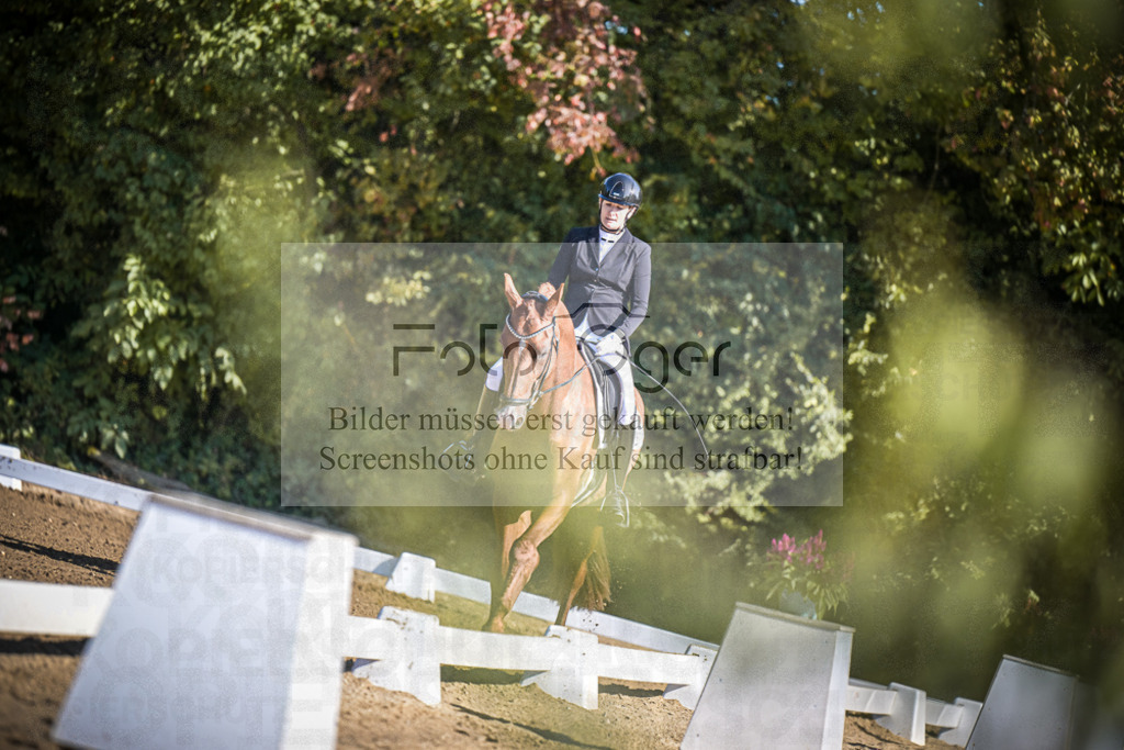 DOS_2071 | Entdecke hochwertige Reitturnierfotos von Foto Oger. Professionell, emotional und authentisch – jetzt Lieblingsmomente im Shop bestellen.Deutschlandweite Turnierfotografie. - Realisiert mit Pictrs.com