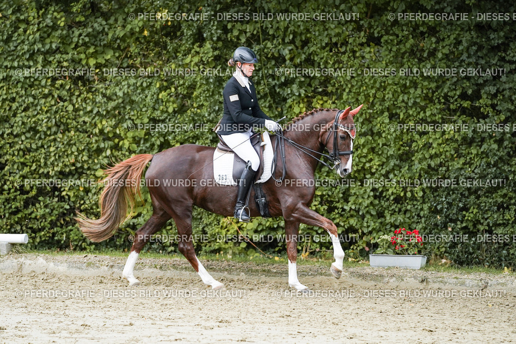 DSC06844 | Pferdegrafie