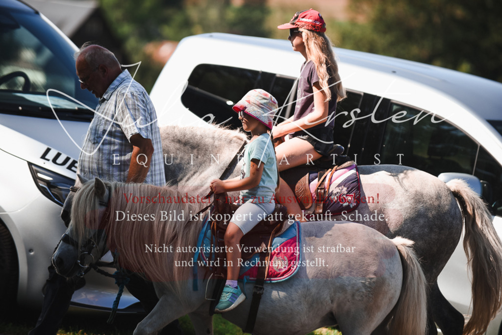DSC_2681 | Pferde- und Turnierfotografie in Westsachsen. Pferdeportraits, Auftragszeichnungen und intuitive Kunst.