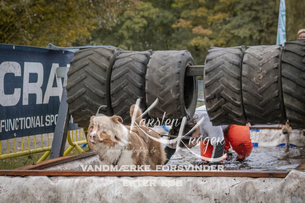 1650_ZZ94224 | kk-dogfotos