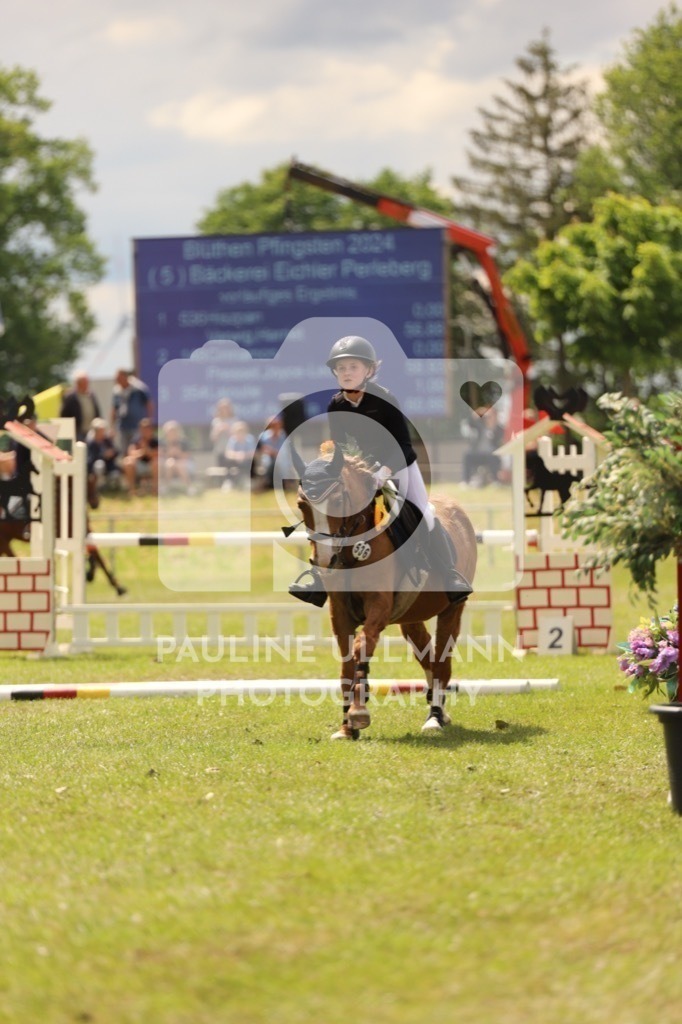 IMG_7547 | Pauline Ullmann Photography - Realisiert mit Pictrs.com