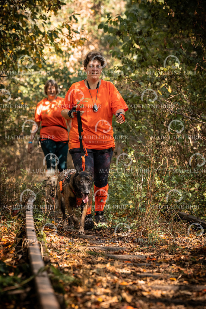 madeleinebirr.fotografie.2026.cc.hunsrueck.12-13Uhr.05 | hundefotografie-birr