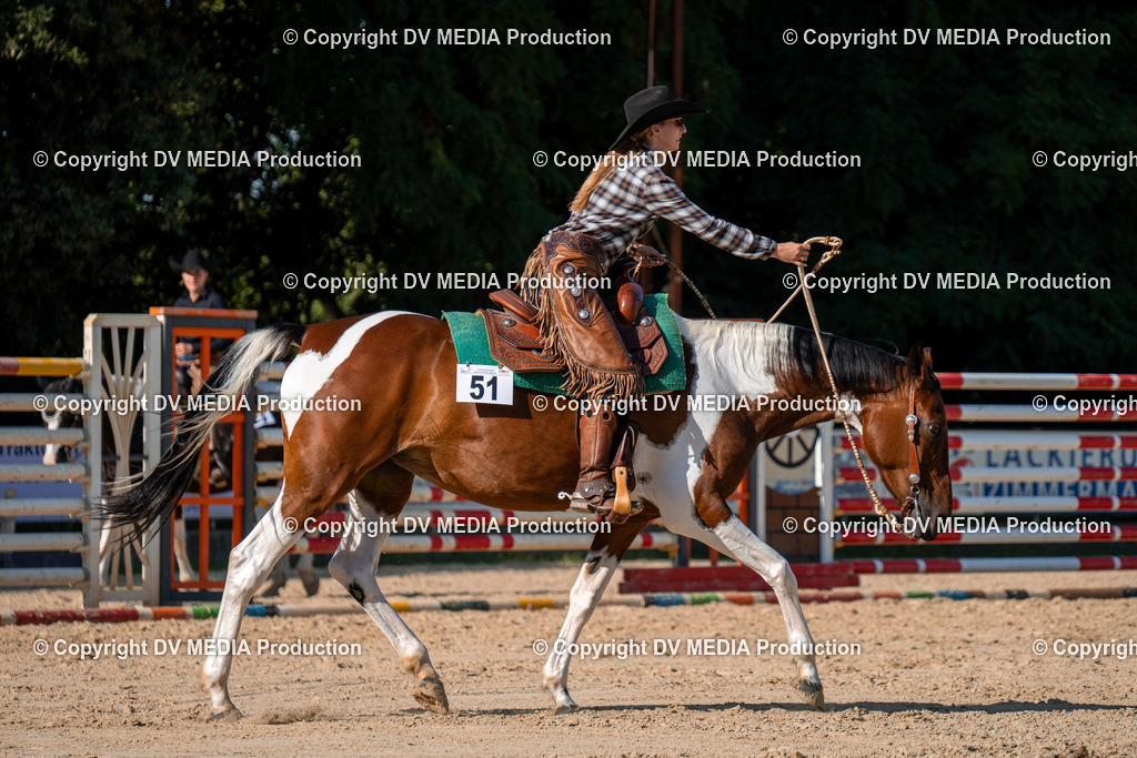 ZH100797 | dv-media-shop - Realisiert mit Pictrs.com