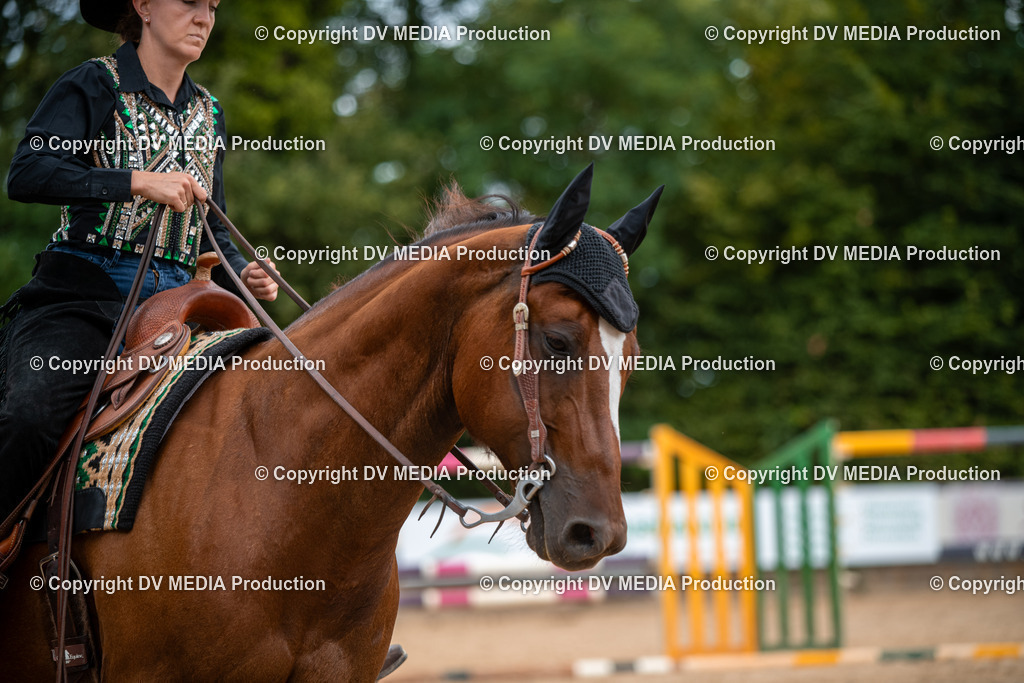 ZS2_7798 | dv-media-shop - Realisiert mit Pictrs.com