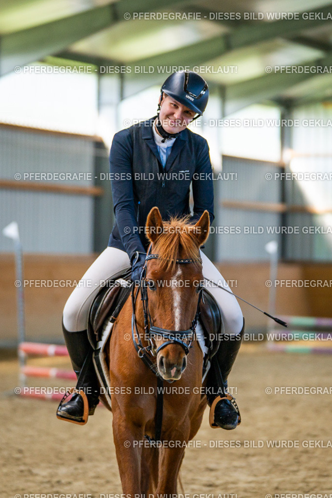 DSC01113 | Pferdegrafie