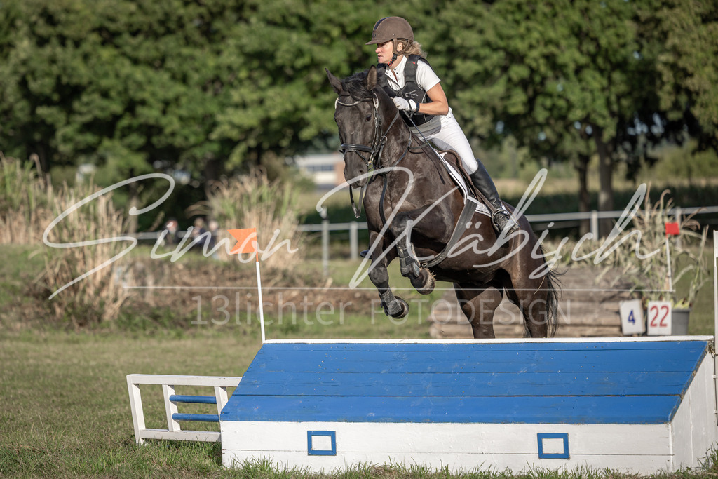 20250907-_3LI8577 | Tierfotografie Pferde, Hunde, Katzen, Haustiere.
Turnierfotografie Reitturniere, Reiten, Springreiten, Dressur in Hanau, dem Main-Kinzig-Kreis und dem Rhein-Main- Gebiet um Frankfurt