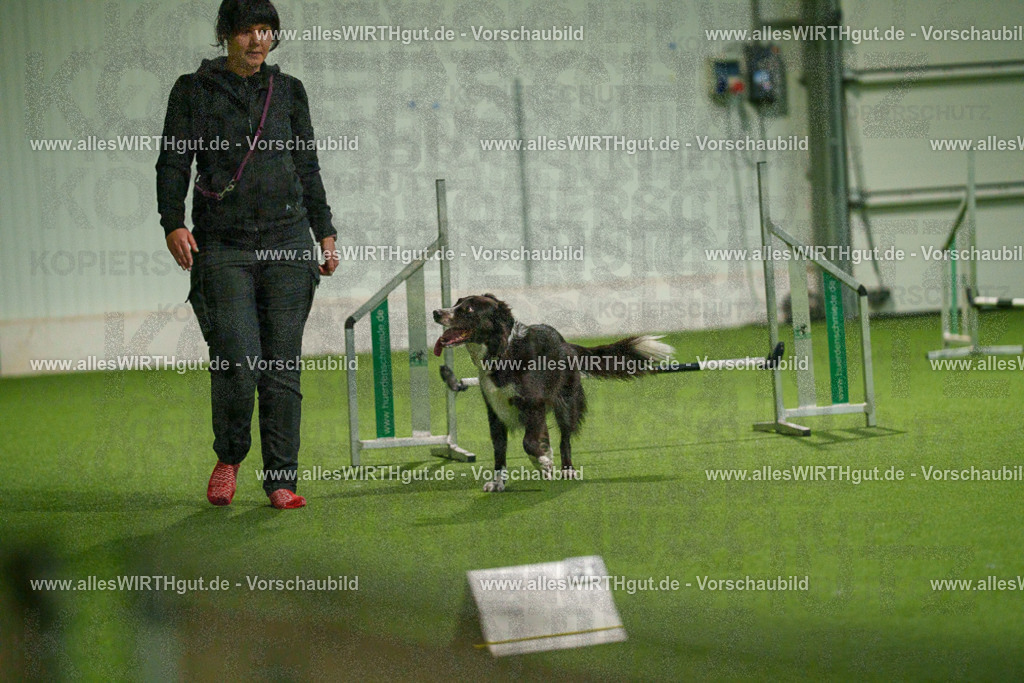 7R507325 | Professionelle Tierfotografie in Mönchengladbach von Daniel Wirth (allesWIRTHgut). Liebevolle & natürliche Bilder von Hunden & Katzen für unvergessliche Erinnerungen.