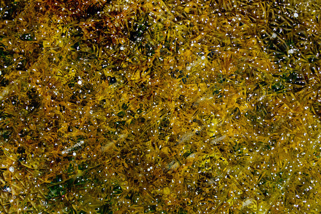 DSC02379-Bearbeitet | ap-design // andreas plenk - Realisiert mit Pictrs.com