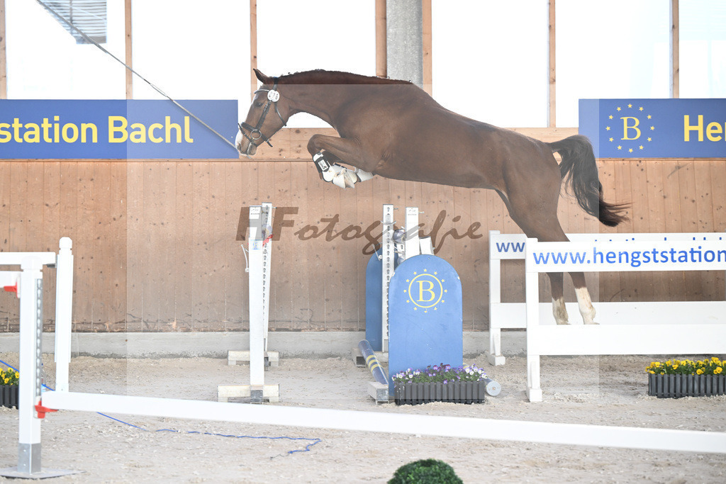 Kat-Nr. 28 Triys v. Chardonnay_Wimmer_5250748 | hf-fotografie - Realisiert mit Pictrs.com
