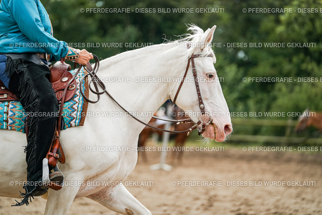 DSC03816 | Pferdegrafie