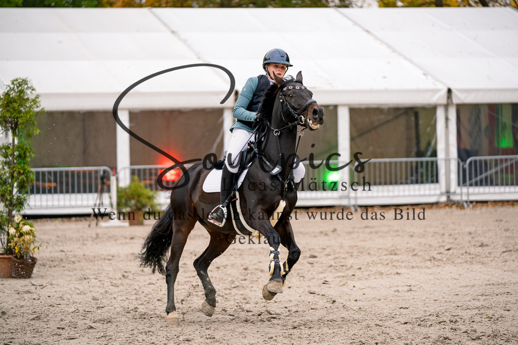 A7V00123 | Turnier/Reitfotograf