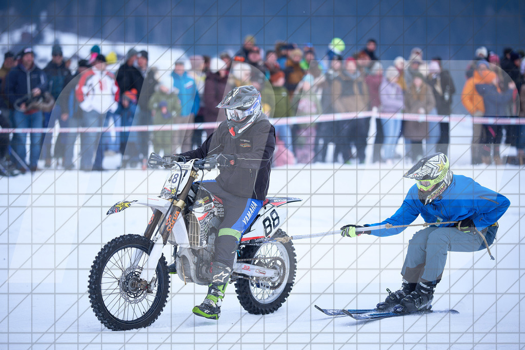 11. Holzknecht Skijöring | Skijöring am 24.01.2026: 11. Holzknecht Skijöring in Gosau am Dachstein, Oberösterreich, ÖsterreichFoto: © 2026 Martin Bihounek | mb-creative.eu