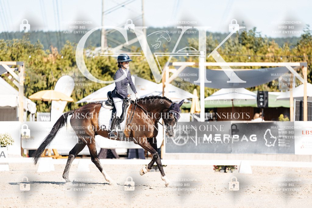 CK907481 | Turnierfotografie Pferdefotografie Trier Rheinland-Pfalz Pferdesport Reitsport Tierfotografie Sportfotografie Pferdevideo Pferdevideografie Equestrianvideography equestrianphotography  - Realisiert mit Pictrs.com